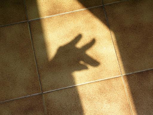 ramisombra.JPG